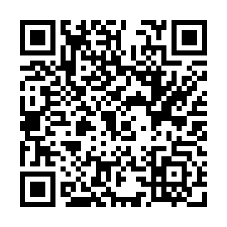 QR code for U393438