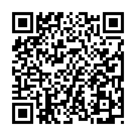 QR code for U393991