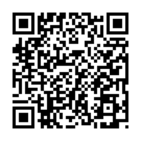 QR code for U394288