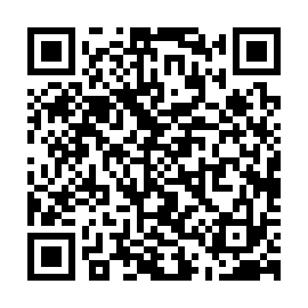 QR code for U40333