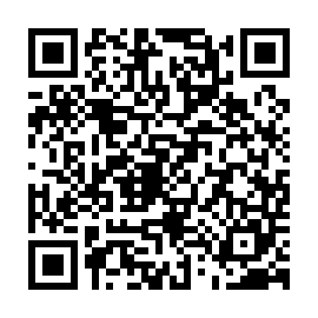 QR code for U411450