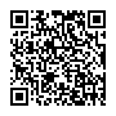 QR code for U413801