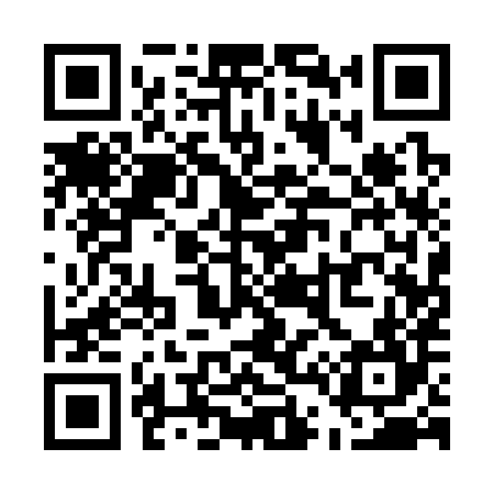 QR code for U41384