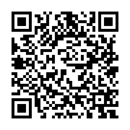QR code for U419243