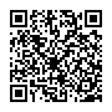 QR code for U447553