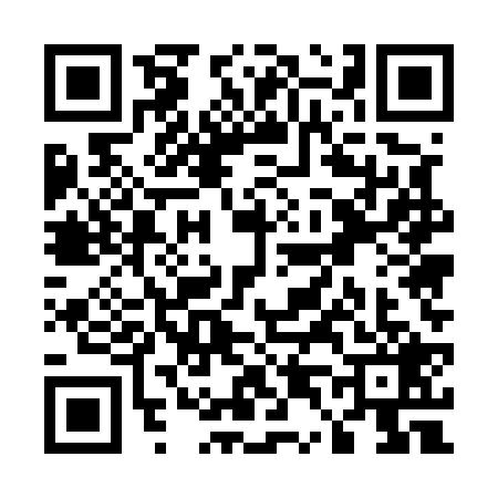 QR code for U455294