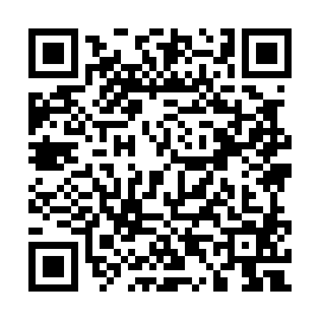 QR code for U490848