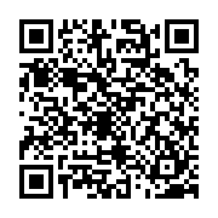QR code for U493246