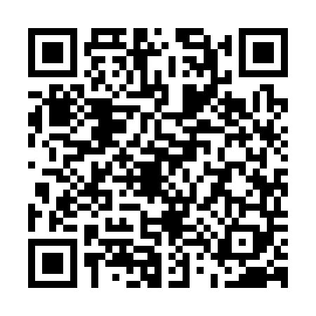 QR code for U493498