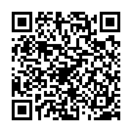 QR code for U497377