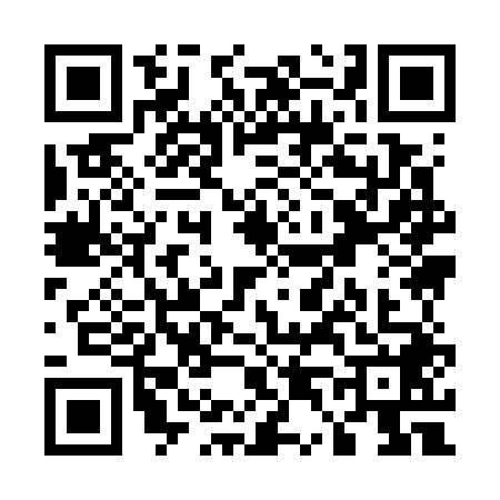 QR code for U497487