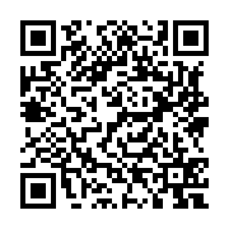 QR code for U498355