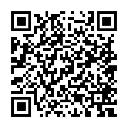 QR code for U509498