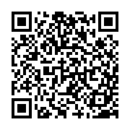 QR code for U51141
