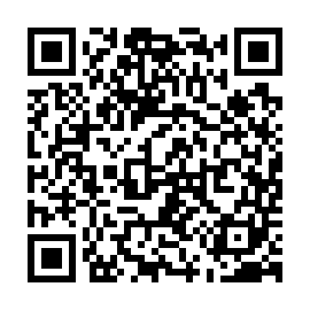 QR code for U51741