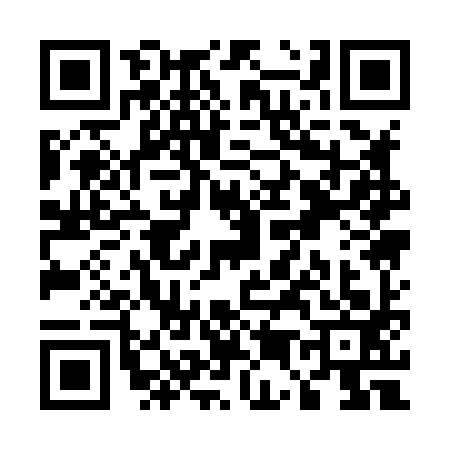 QR code for U518938