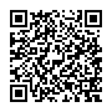 QR code for U527984