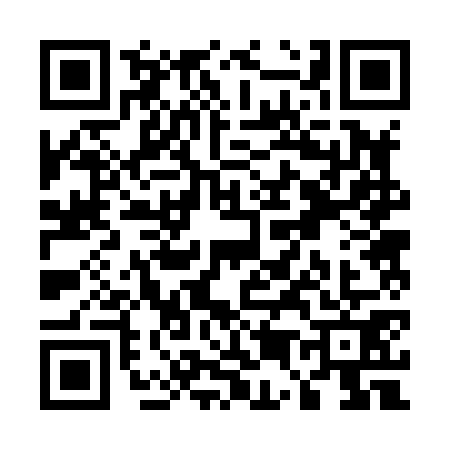 QR code for U528717