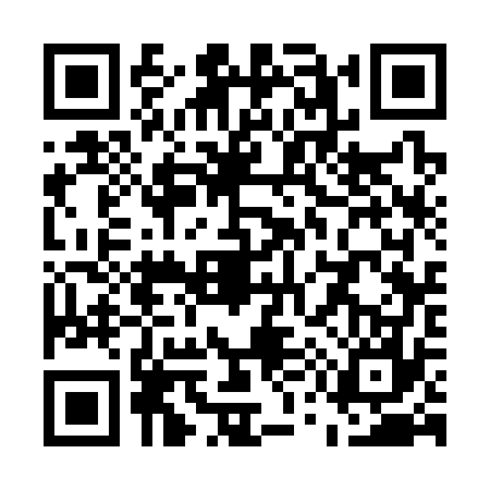 QR code for U533771