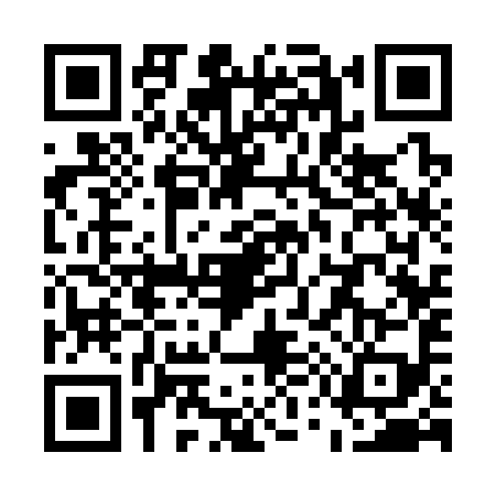 QR code for U533993