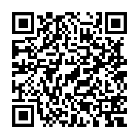 QR code for U538189
