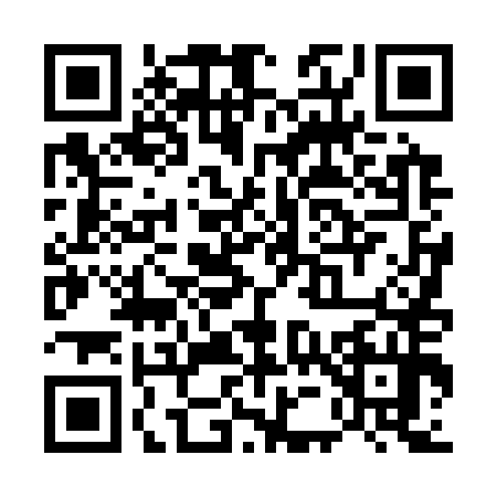 QR code for U543549