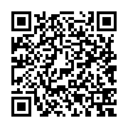QR code for U549393
