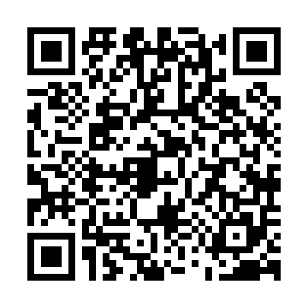 QR code for U580550