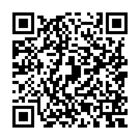 QR code for U589411