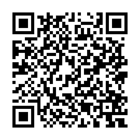 QR code for U595076