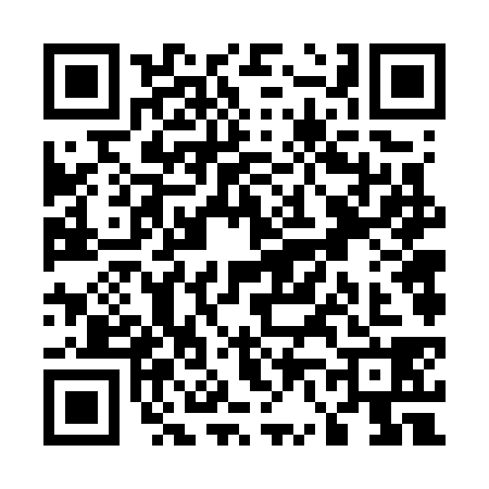 QR code for U667384