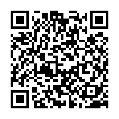 QR code for U69538