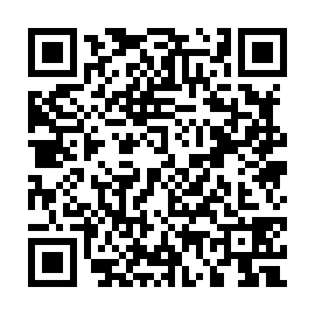 QR code for U718383