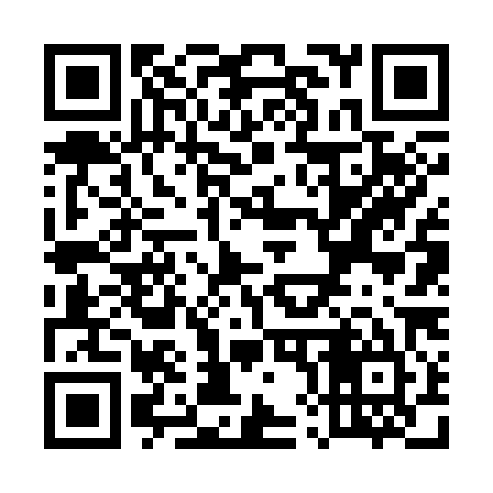 QR code for U86385
