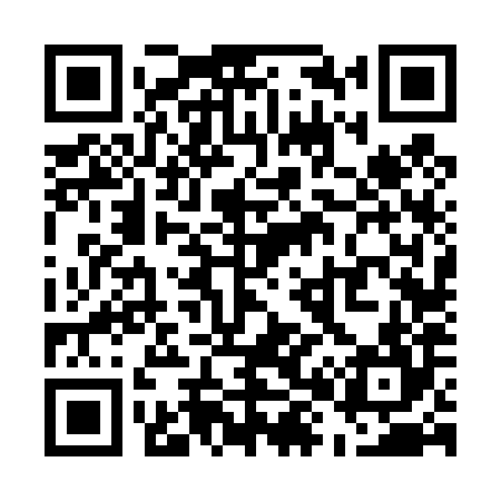 QR code for U86484