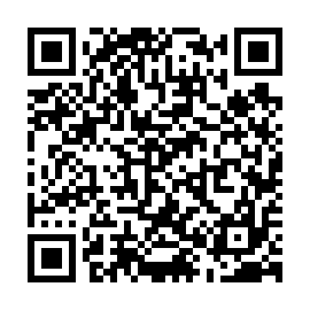 QR code for U86617