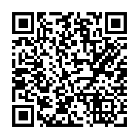 QR code for U87333