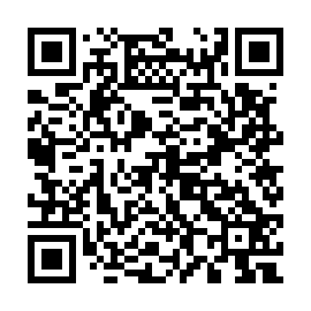 QR code for U87523