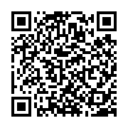 QR code for U87638