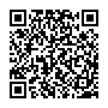 QR code for U90113