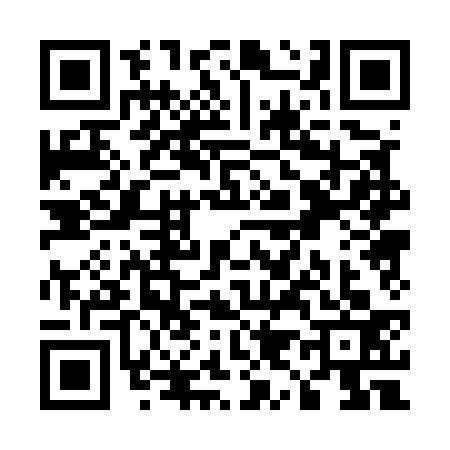 QR code for U905338