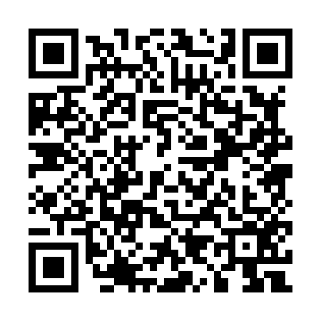 QR code for U908563