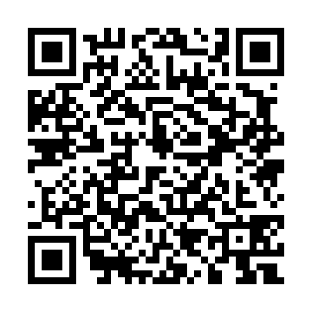 QR code for U914380