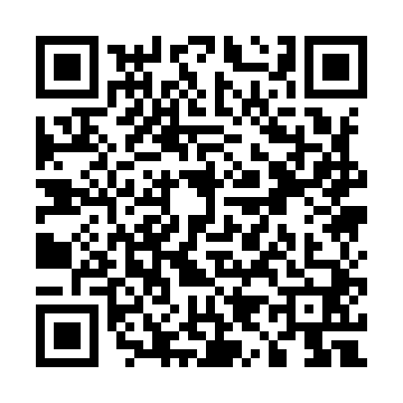 QR code for U919403