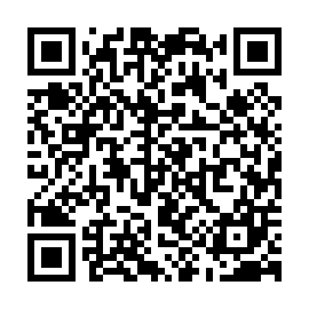 QR code for U95007