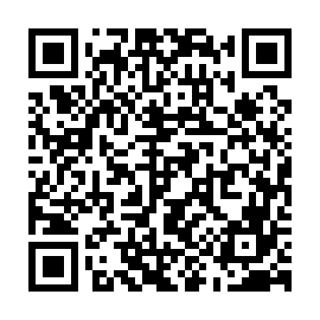 QR code for U95166