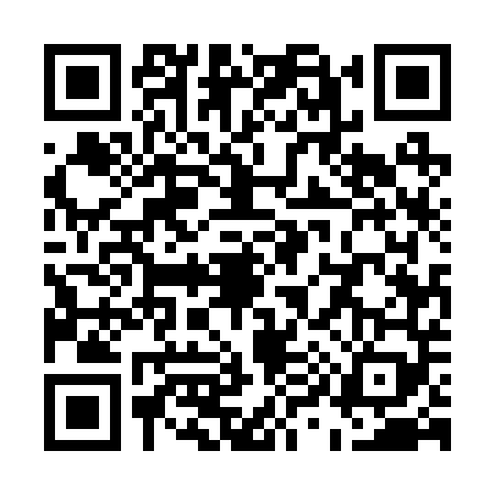 QR code for U952494