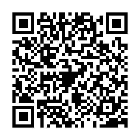QR code for U953350