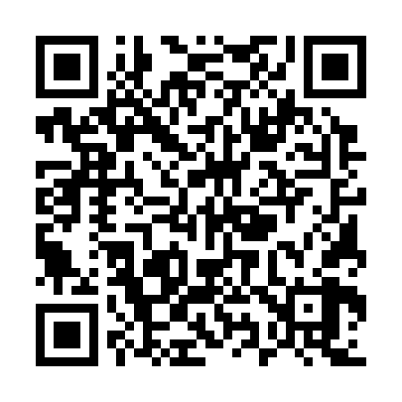 QR code for U95368