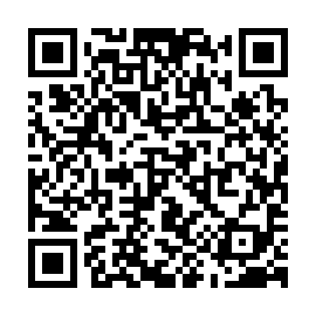 QR code for U95399